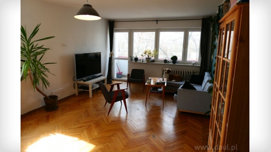 P1340142(1).JPG