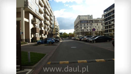 P1010334.JPG