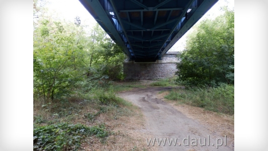 modlin100.jpg